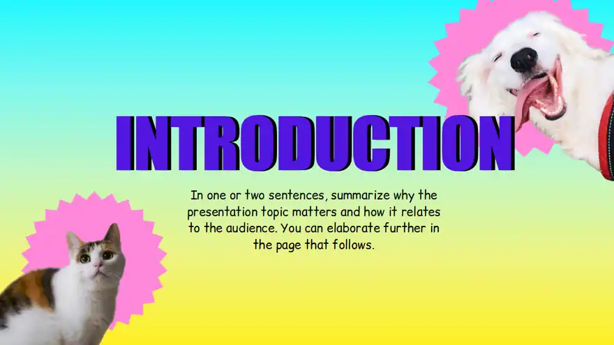 Worst Slides Presentation