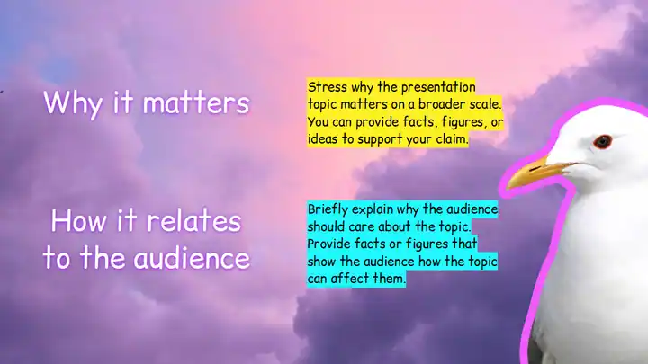 Worst Slides Presentation