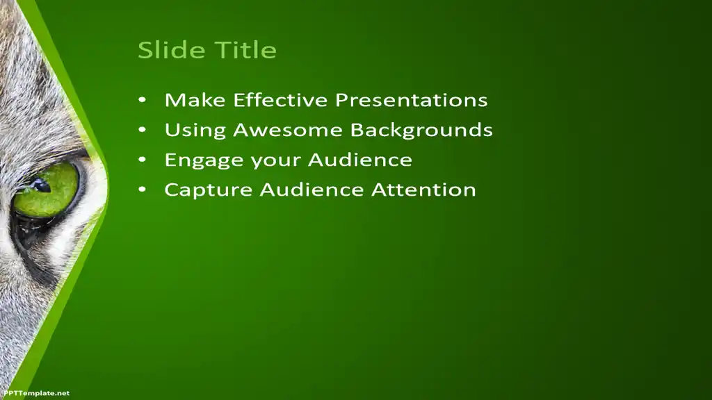 Free Cat PPT Template