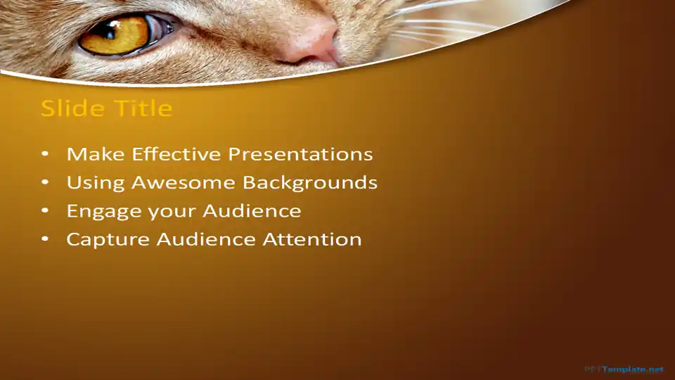 Free Red Cat PPT Template