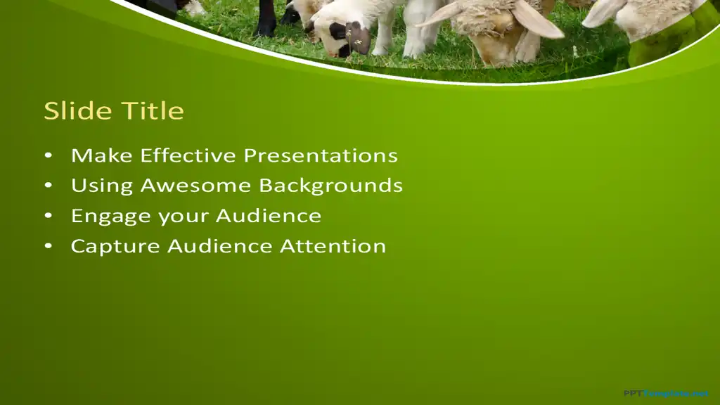 Free Sheep PPT Template