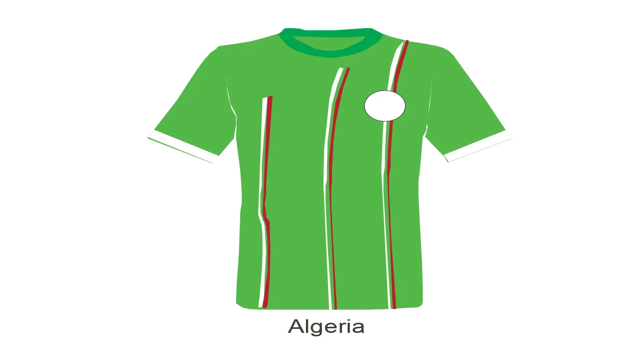 2010 World Cup Individual Team Shirts