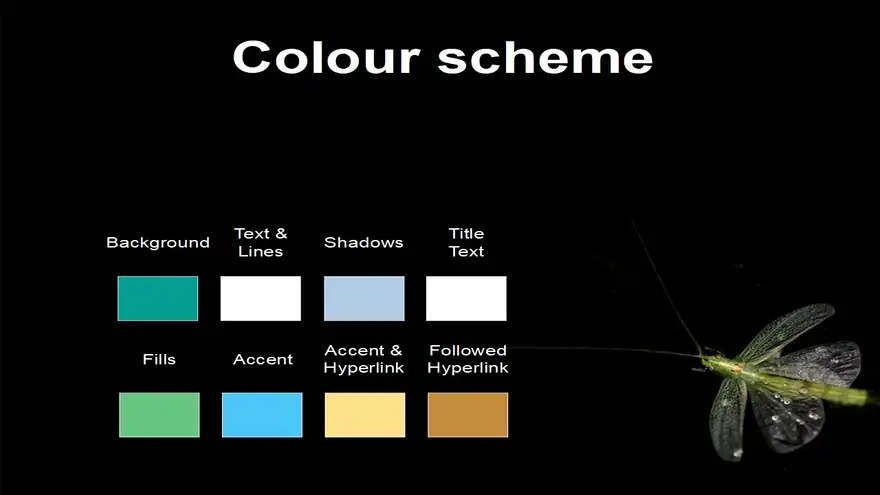 Aquatic insect template