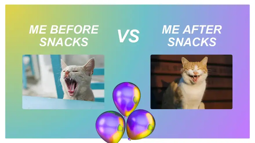 Best Memes of the Year Slides