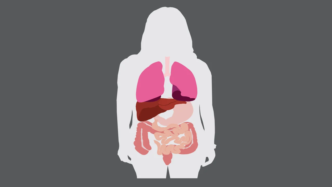Body Parts Template
