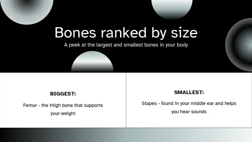Bone Background Slides