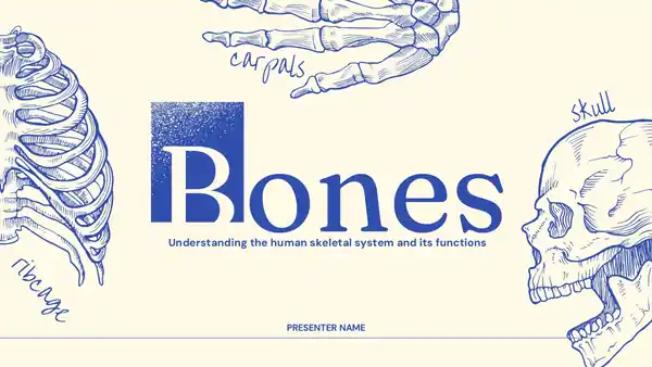 Bones Slides