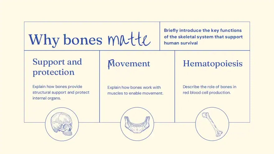 Bones Slides