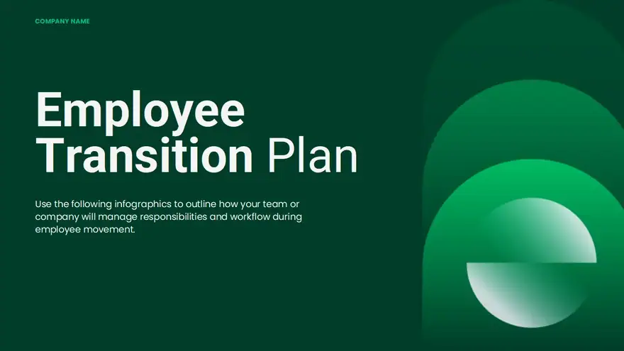 Business Transition Plan