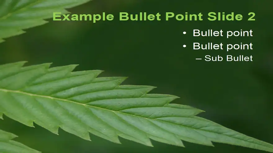 Cannabis Leaf PowerPoint Template