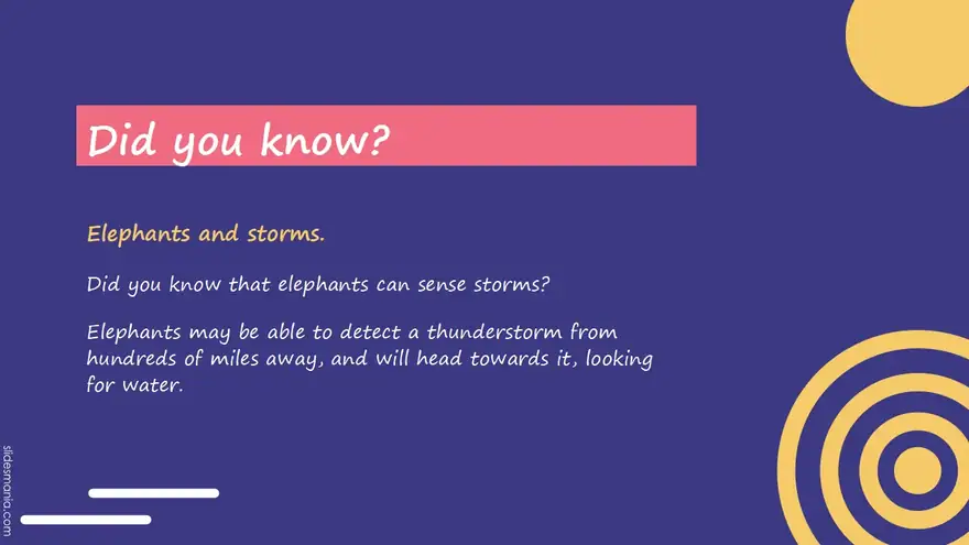 Clark, professional Powerpoint template and Google Slides theme.
