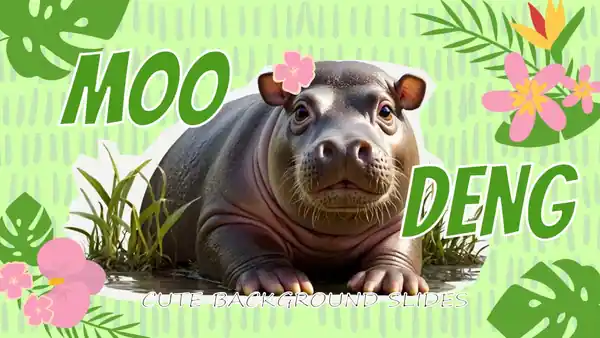 Cute Moo Deng Background Slides