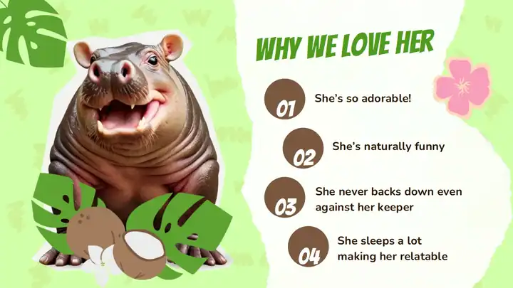 Cute Moo Deng Background Slides
