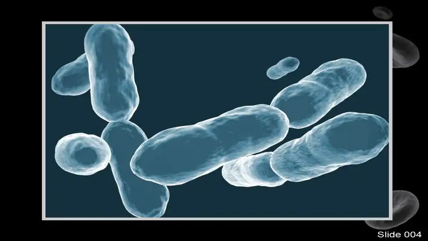 Electron Microscope PowerPoint Template