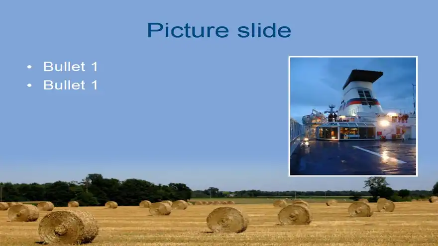 Field and hay bales