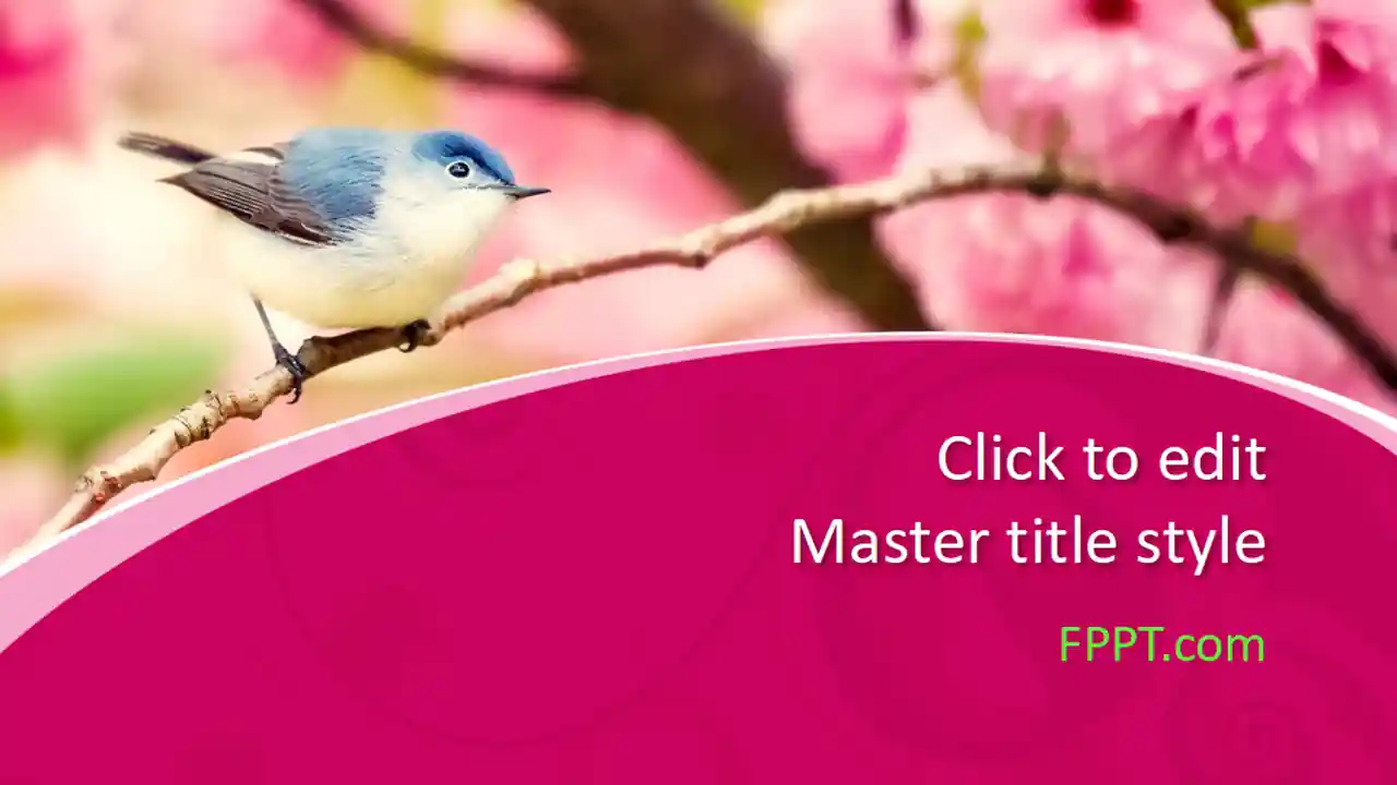 Free Bird PowerPoint Template
