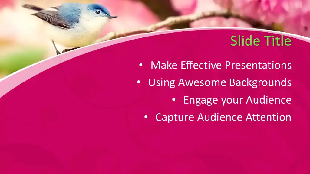 Free Bird PowerPoint Template