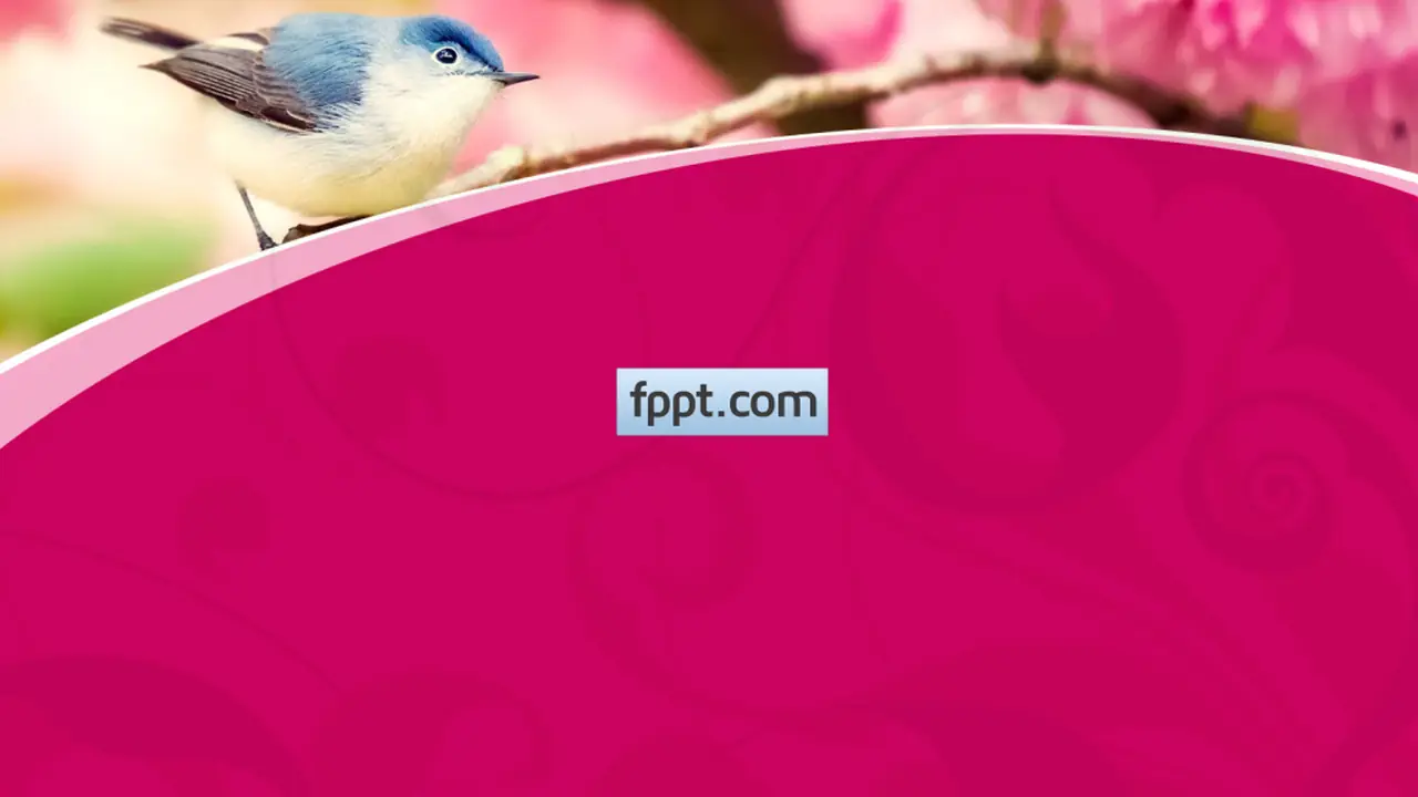 Free Bird PowerPoint Template
