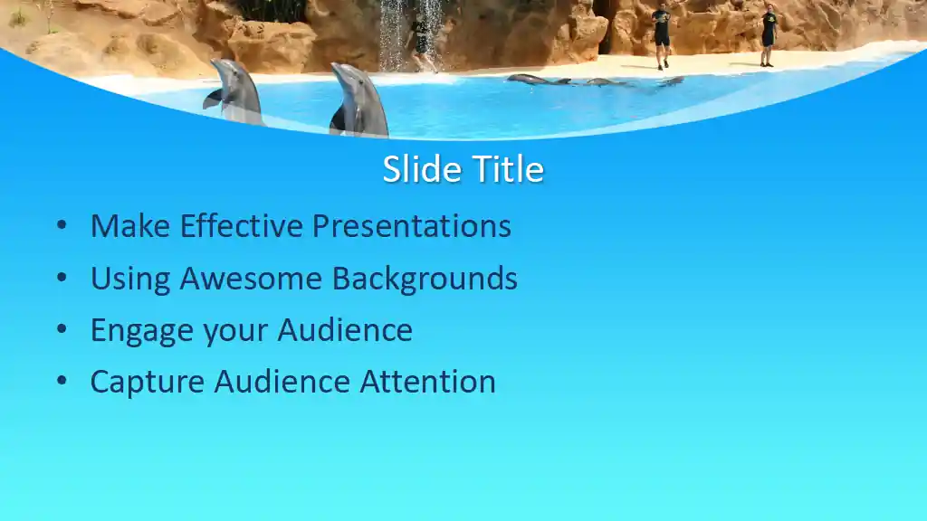 Free Dolphins PowerPoint Template