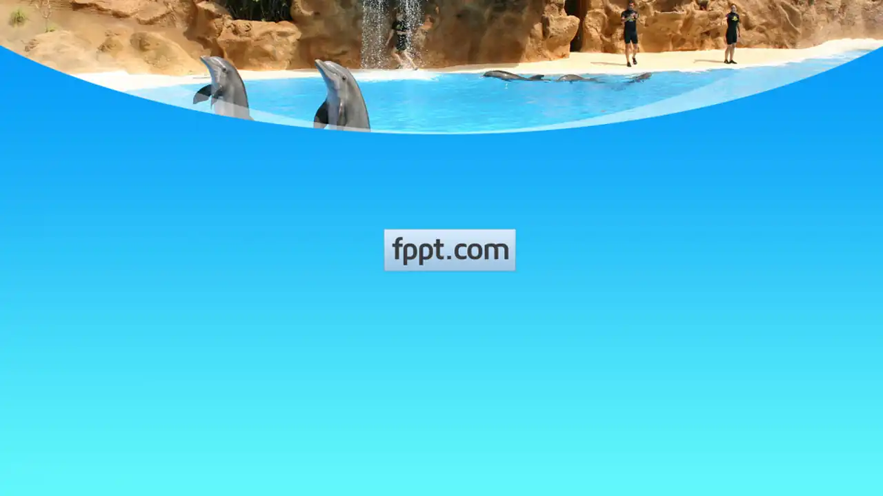 Free Dolphins PowerPoint Template