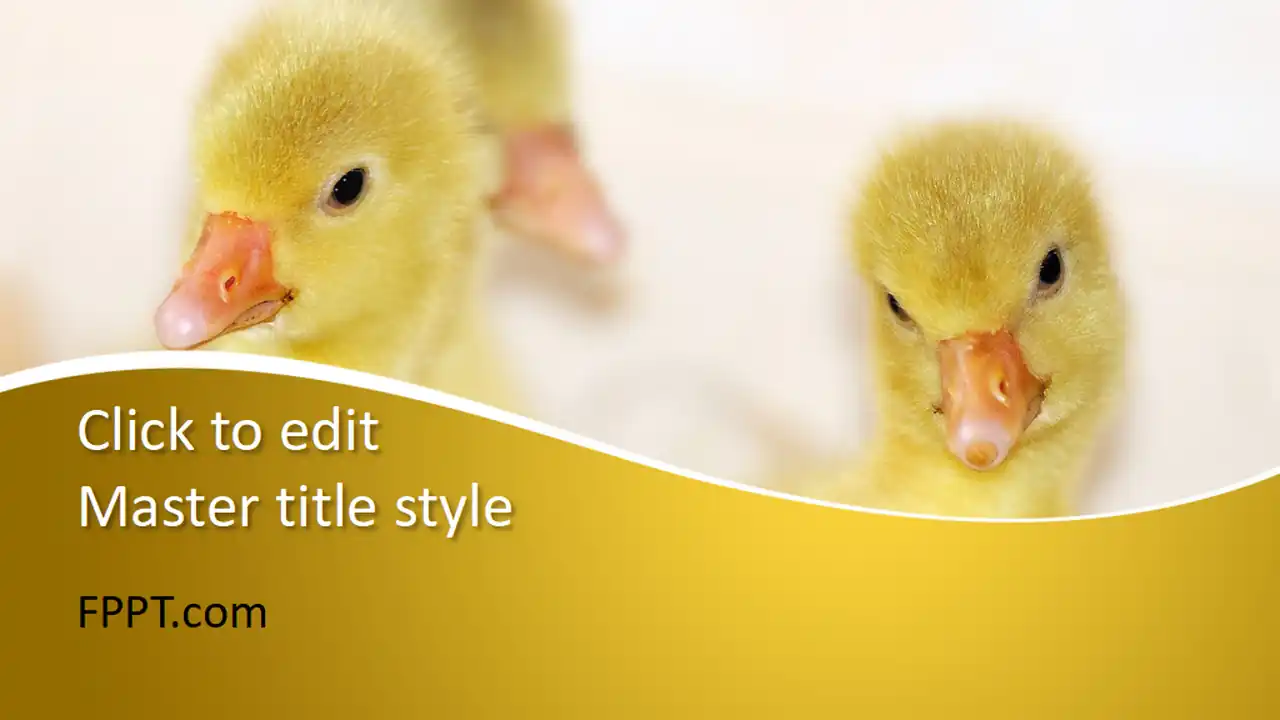 Free Ducklings PowerPoint Template