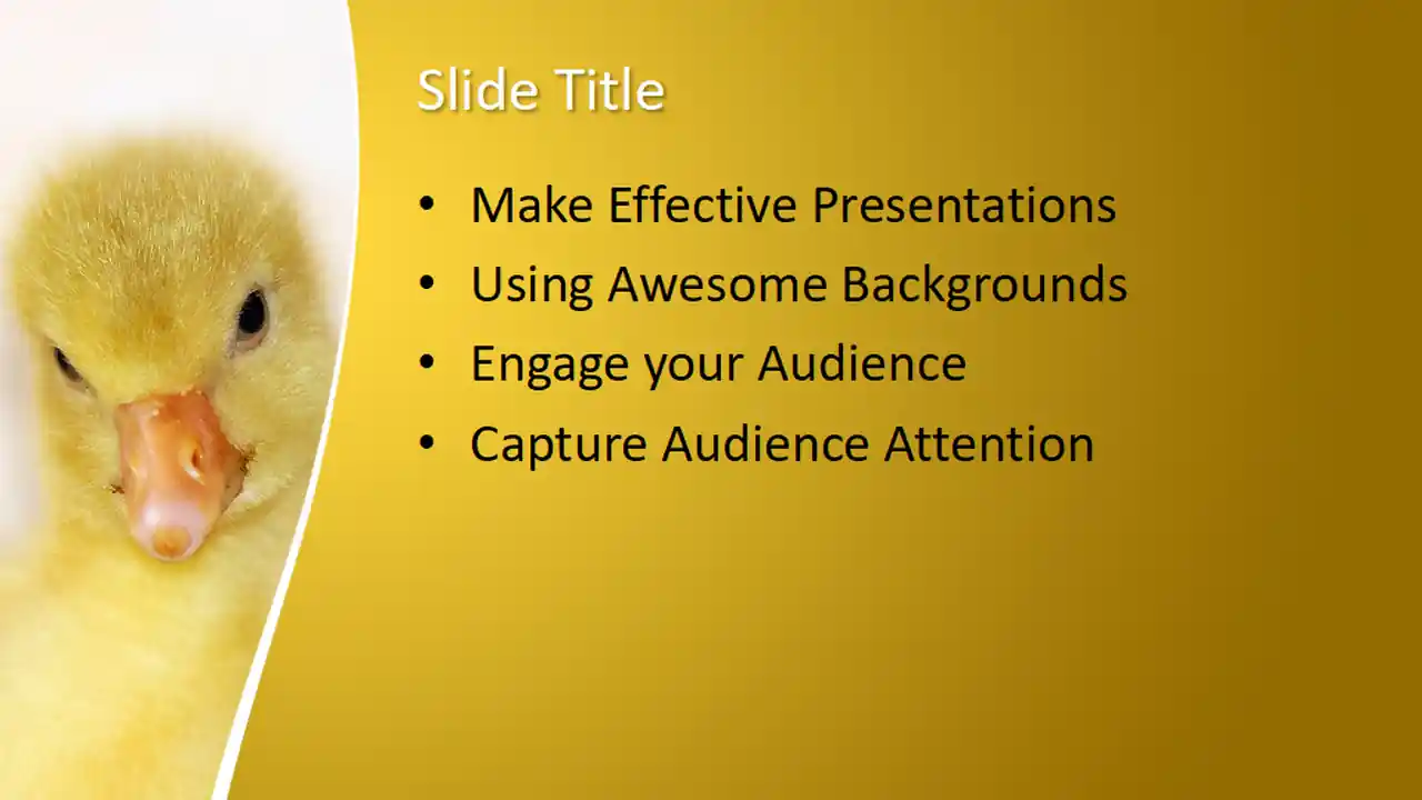 Free Ducklings PowerPoint Template