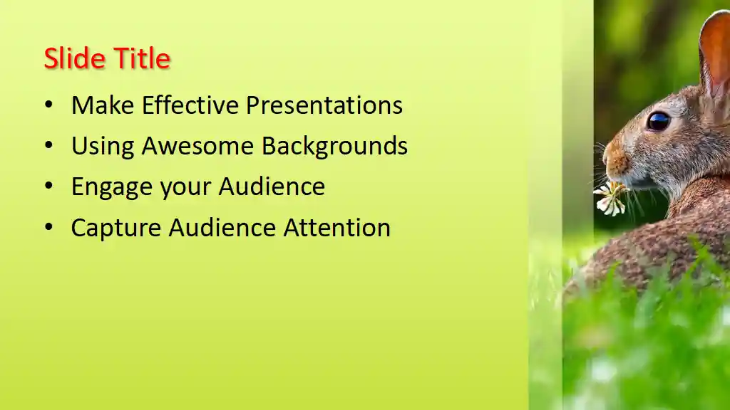 Free Hare PowerPoint Template