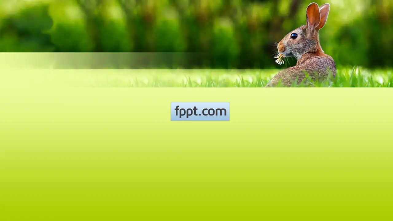 Free Hare PowerPoint Template