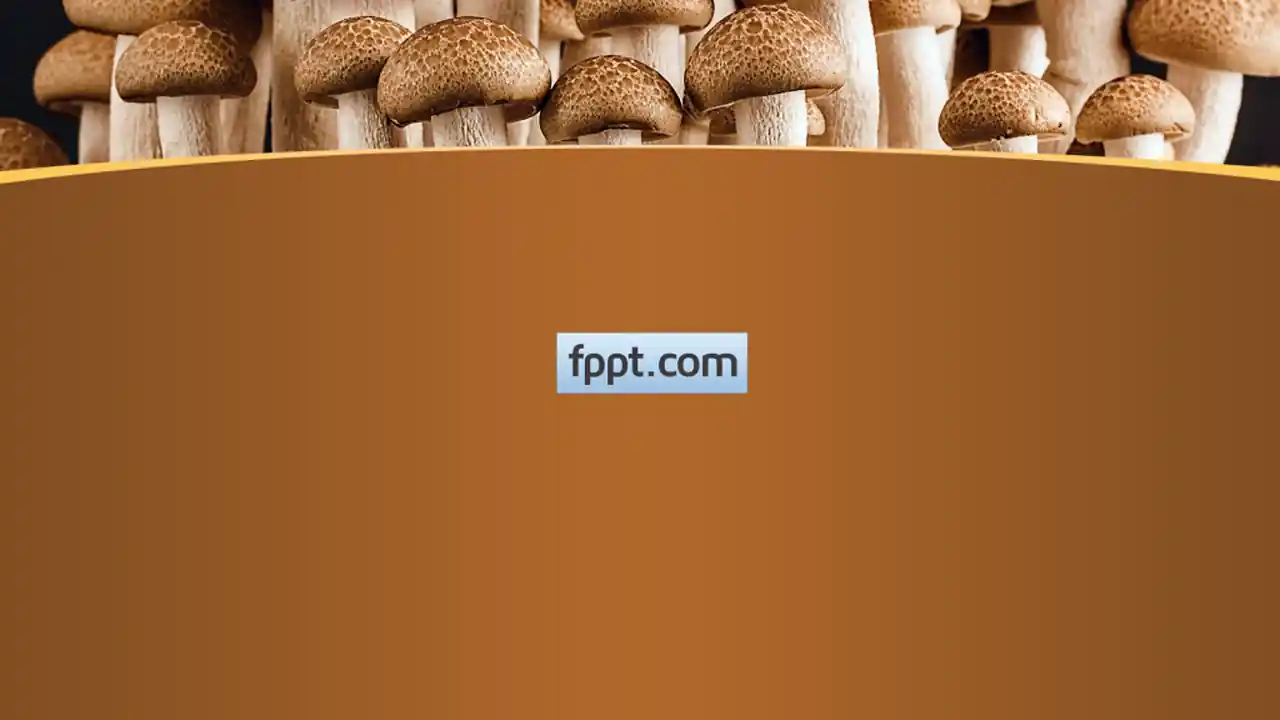 Free Mushroom PowerPoint Template