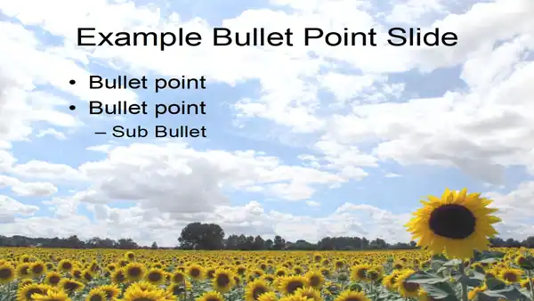 Free Sunflower PowerPoint Template