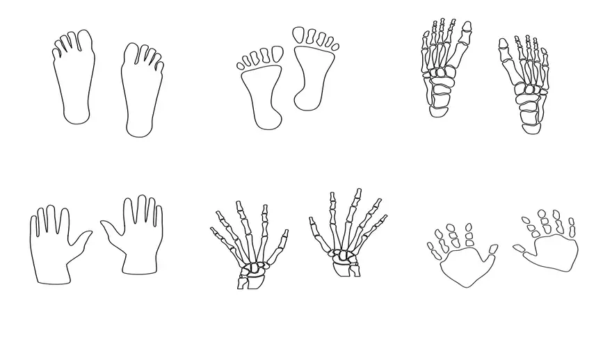 Hands and Feet Template
