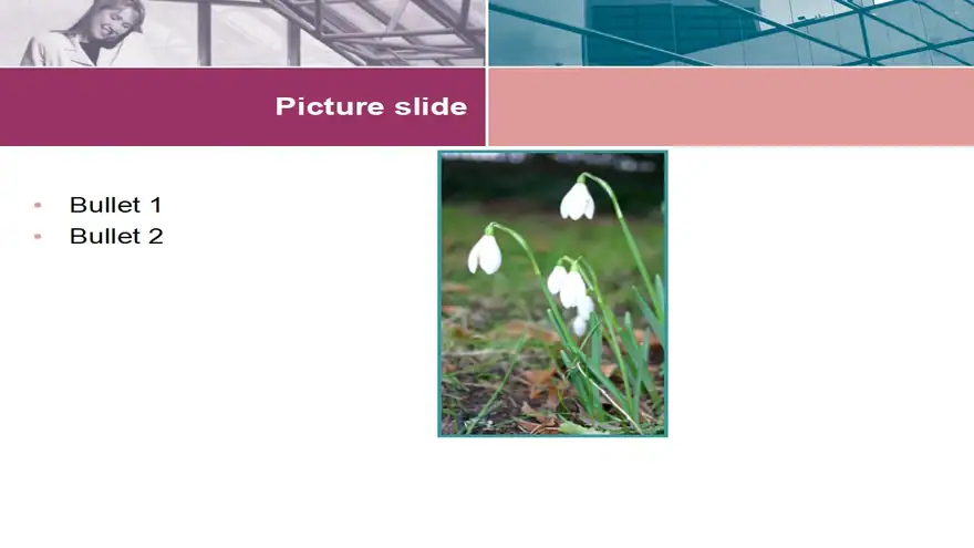 In the Office Business Template