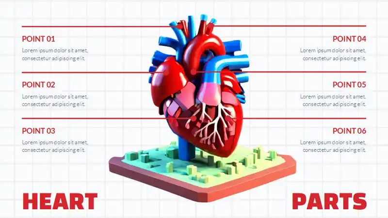 Minimal 3D Cardiology Center Slides