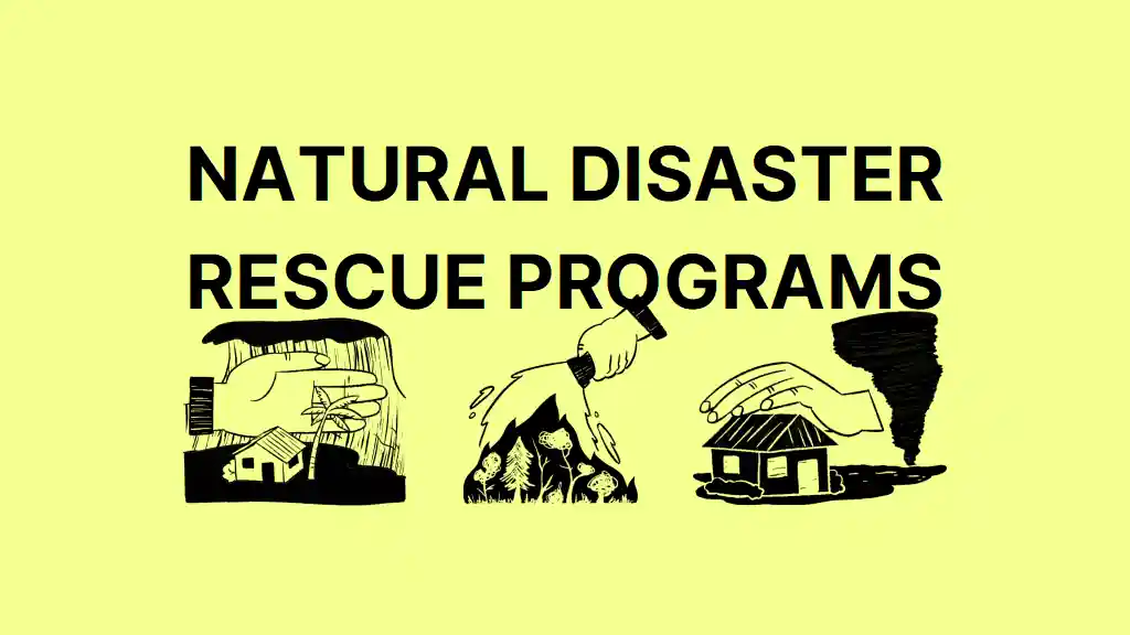 Minimal Natural Disaster Rescue Program Slides