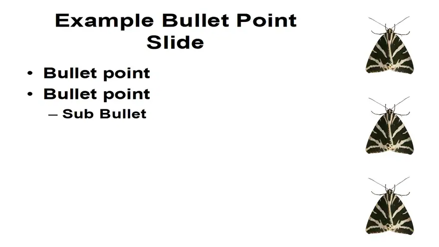 Moth PowerPoint template