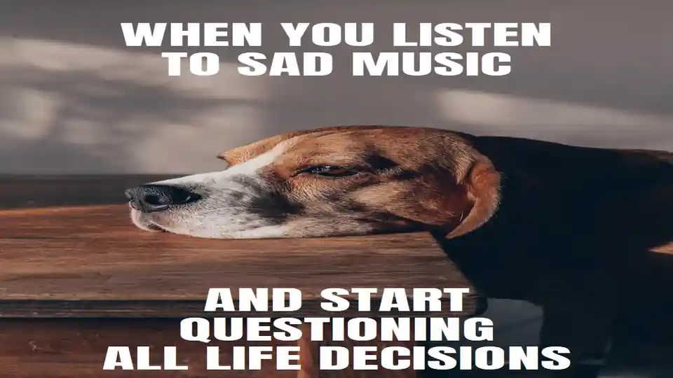 Music Meme