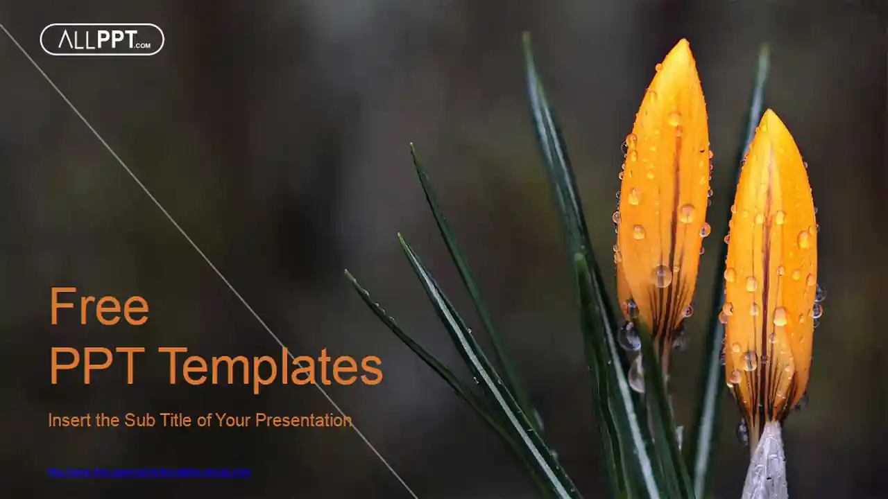Natural Flower-de-luce PowerPoint Templates