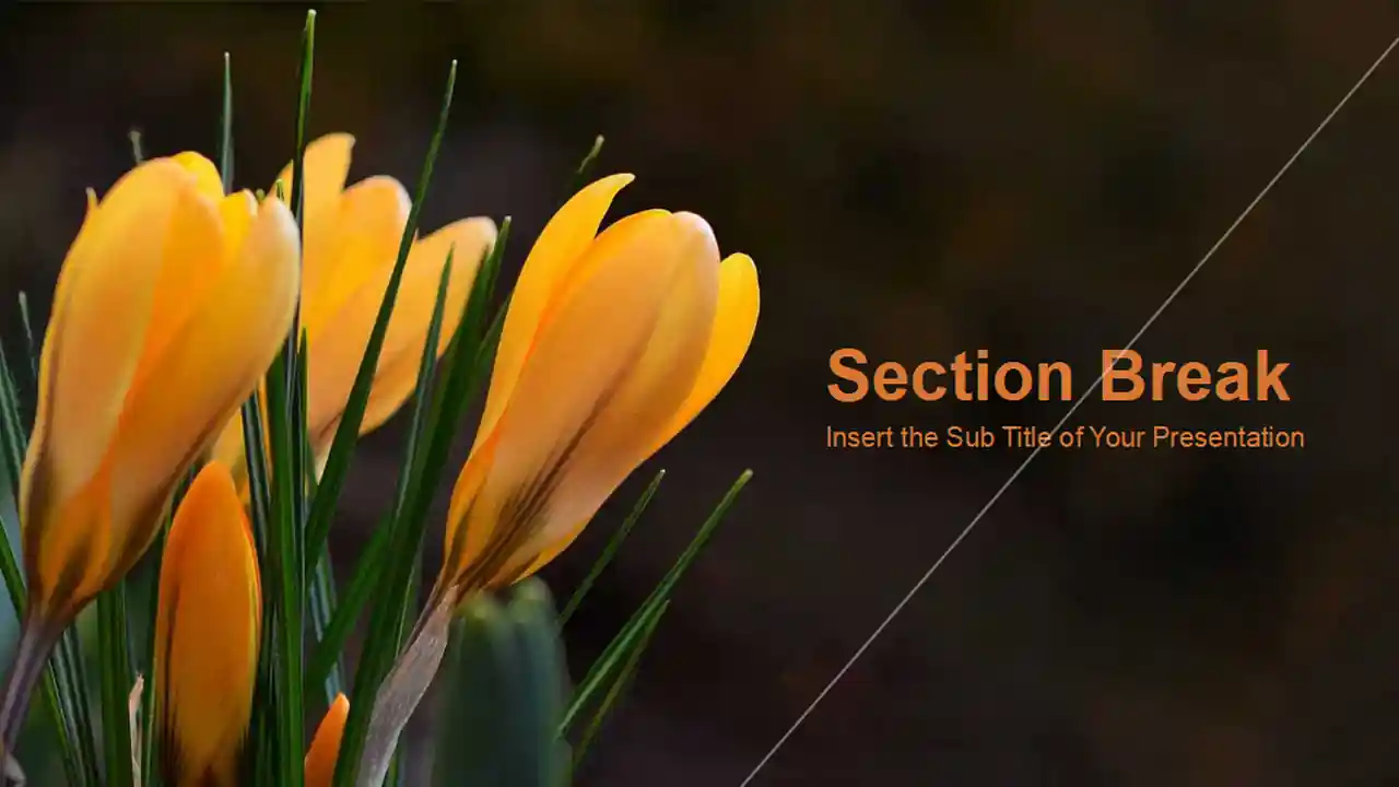 Natural Flower-de-luce PowerPoint Templates