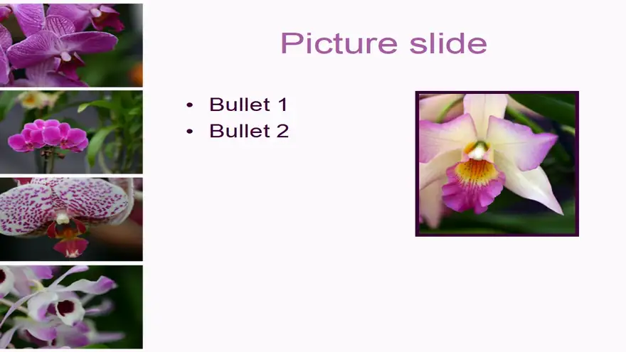 Orchid PowerPoint Template