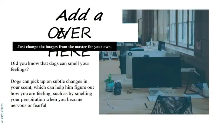 Parker, meeting presentation template.