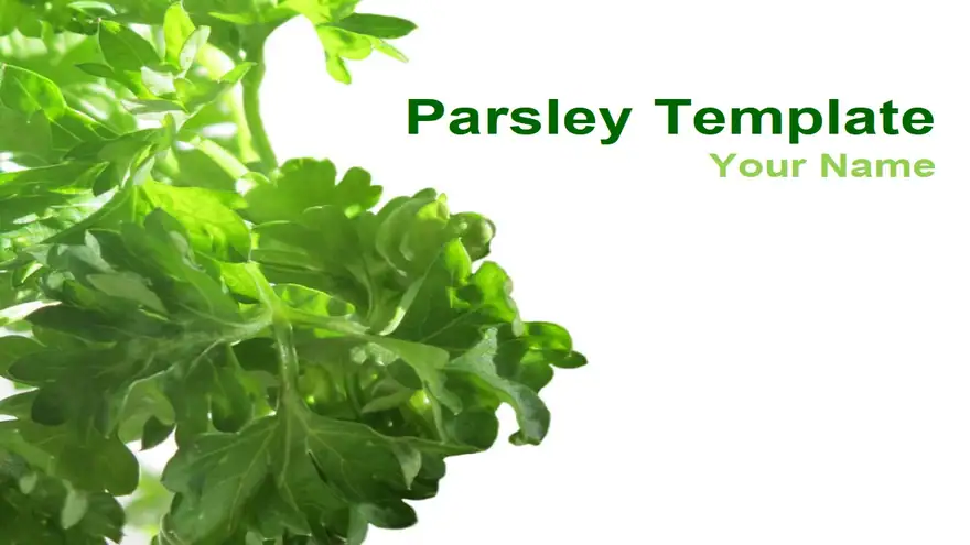 Parsley PowerPoint Template