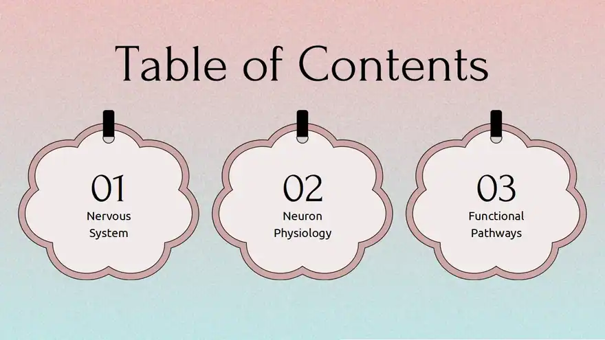 Physiology of Nervous System Slides
