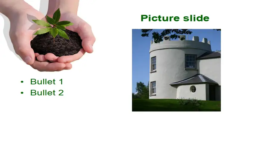 Plant PowerPoint Template