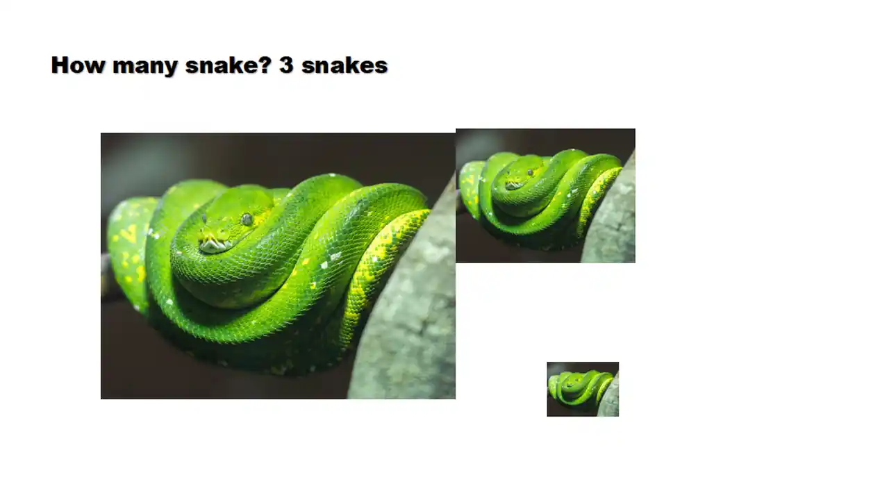 Presentation Generated
