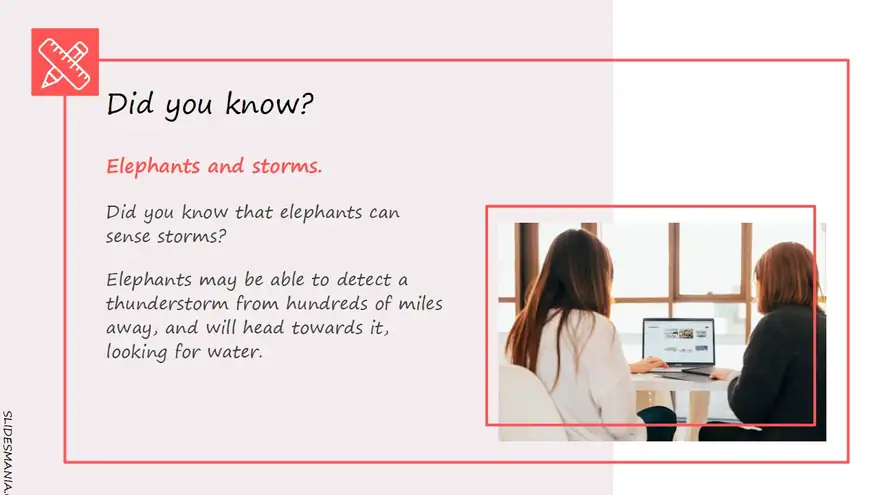 Reed, business presentation template.