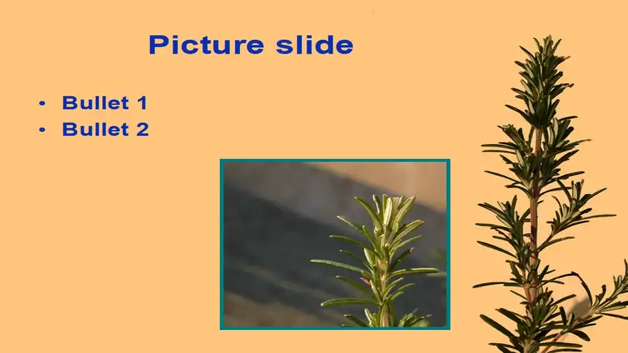 Rosemary Template
