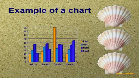 Sea Shells PowerPoint Template