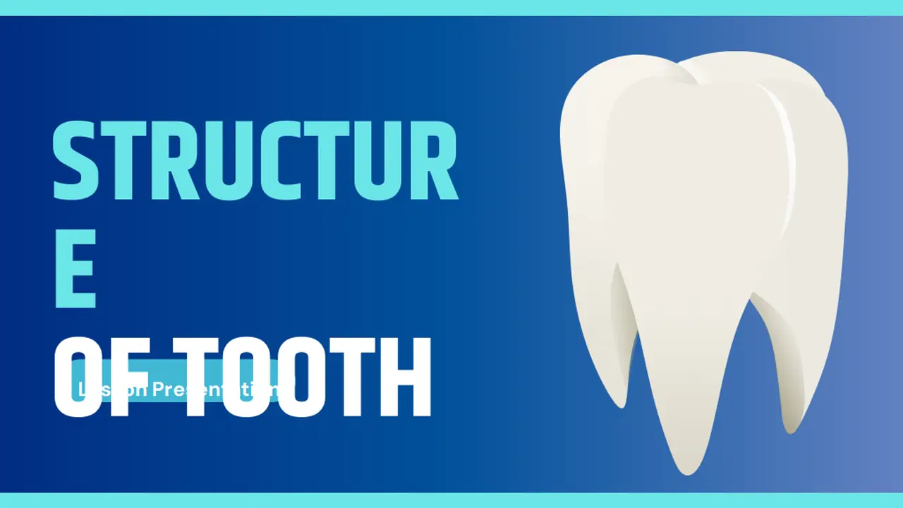 Structure Of Tooth Slides