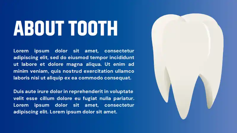 Structure Of Tooth Slides