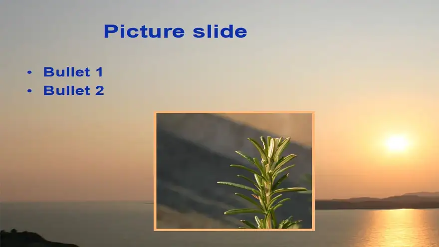 Sunset template